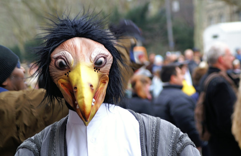 ein seltsamer Vogel...
